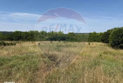 Teren de 2500 mp, în Popoveni - 2