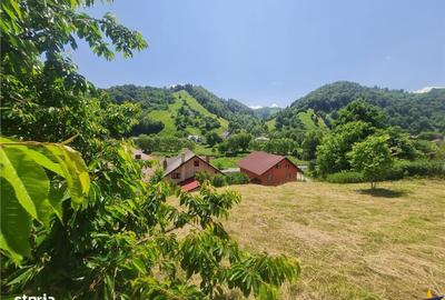 Teren de 2327 mp, în Moieciu - 8