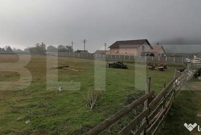Teren de 3300 mp, în Vințu de Jos - 3
