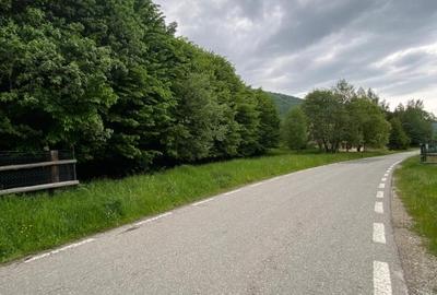 Teren intravilan de 2750 mp, în Brebina - 4