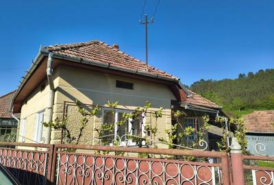 Casă cu 4 camere în Porumbeni - 6