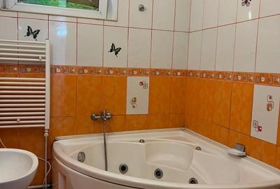 Stirbei Voda stradal-Schitu Magureanu-Cismigiu, - 9