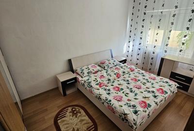 Apartament cu 2 camere semidecomandat în Micălaca - 4