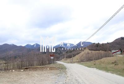 Teren Construcții intravilan de 7320 mp, în Racovița - 2