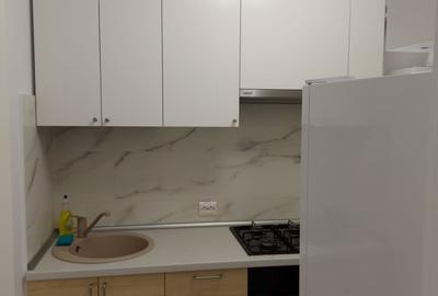 Garsonieră semidecomandată, mobilată în Theodor Pallady - 14