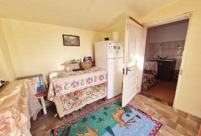 Casă cu 5 camere decomandat cu Teren 1600 Mp în Dobreni - 7