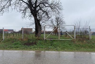 Spațiu comercial, în Comana - 2