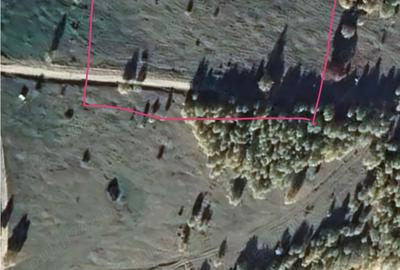Teren de 5000 mp, în Clopotiva - 1