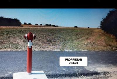 Teren de 3400 mp, în Valea Plopilor - 6
