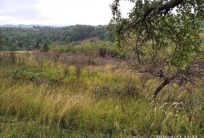 LOC de CASA cu TEREN INTRAVILAN în Banatul de munte. - 5