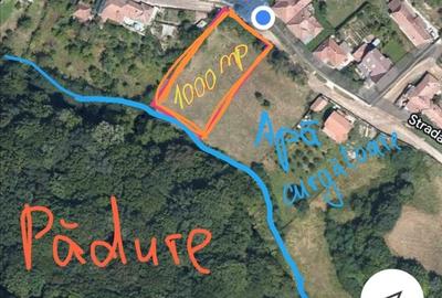Teren constr.1000 mp, in Sighisoara, s. Caraiman_20.000 E
