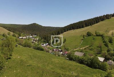 Parcelez teren 6514mp intravilan Manastirea Humorului - 4