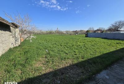 Casă cu 7 camere cu Teren 1775 Mp în Zădăreni - 5