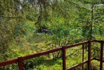 Teren de 2220 mp, în Arieșeni - 2