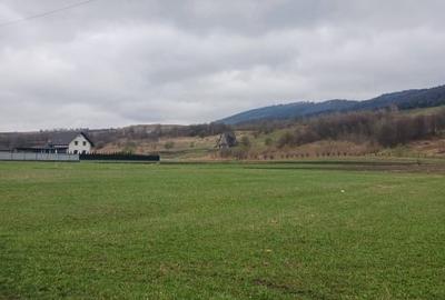 Teren Construcții intravilan de 3000 mp, în Bivolăria - 2