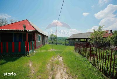 Casă cu 5 camere cu Teren 55706 Mp în Șinteu - 5