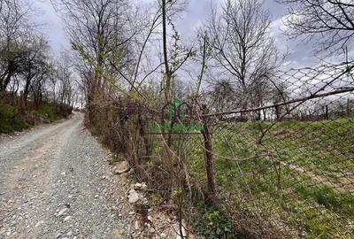 Teren 1260 mp/Pausesti Maglasi/Intravilan - 1