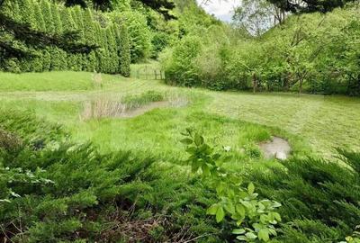 Casa de Vacan?a pe Valea Ighielului 3 camere, 2500 mp curte - 13