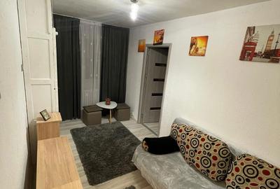 Apartament cu 2 camere semidecomandat în Valea Rosie - 5