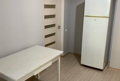 Zona 1 Decembrie de inchiriat o garsoniera - 4