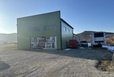 Spațiu industrial, 660 mp în Viișoara - 9