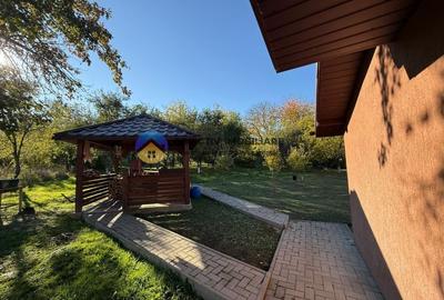 Casa + teren de vanzare - Almas - 12