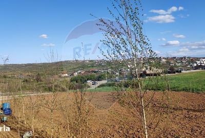 Spațiu comercial, în Spitalul Județean - 11