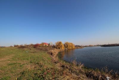 Teren Construcții intravilan de 4763 mp, în Mogoșoaia - 2