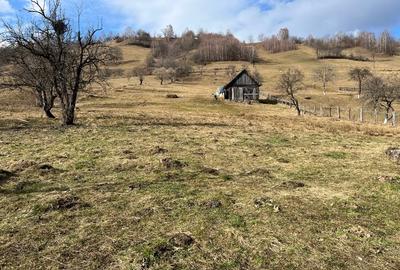 Teren intravilan 2.881 mp Șimon - Vedere panoramică Bucegi - Utilități incluse - 11