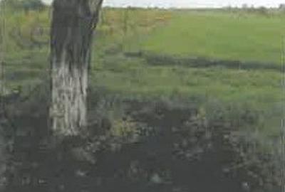 Teren de 1200 mp, în Pietroasele - 4
