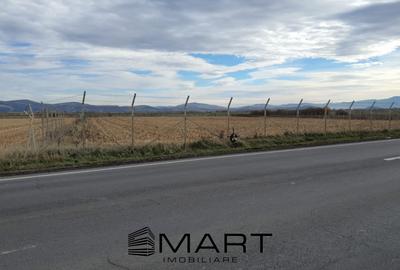 Teren intravilan Calea Feldioarei - 2