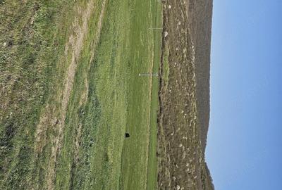 Teren de 7200 mp, în Crețești - 3