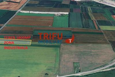 Teren de 5800 mp, în Sântimbru - 1