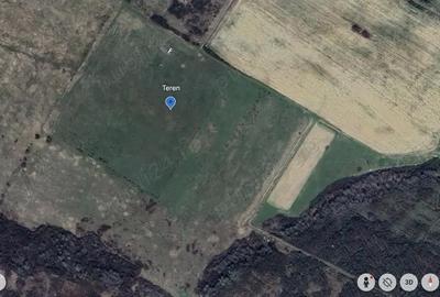 Teren de 76200 mp, în Lugoj - 3