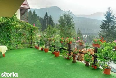 Spațiu comercial, de 500 mp, în Bucium - 7