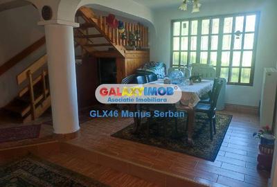 Casă cu 5 camere cu Teren 3657 Mp în Valea Lungă - 11