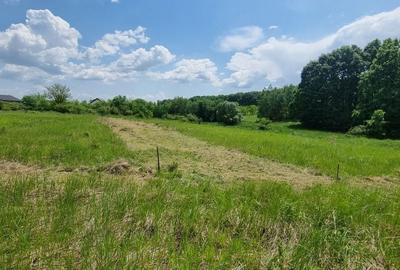 Spațiu comercial, în Hințești - 5