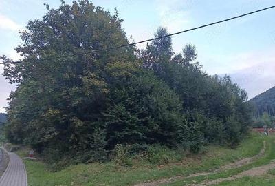 Teren de 1000 mp, în Băile Tușnad - 1