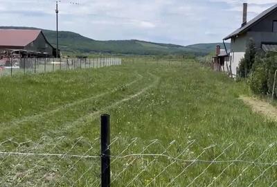 Teren de 14000 mp, în Chintelnic - 2