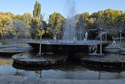 3 cam, Parc IOR - Campia Libertatii - 1