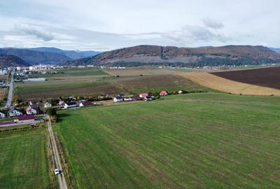 Teren agricol intravilan de 10000 mp, în Gârcina - 6