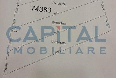 Teren plan 4800 mp cu casa demolabila, centru Corpadea, Apahida - 2