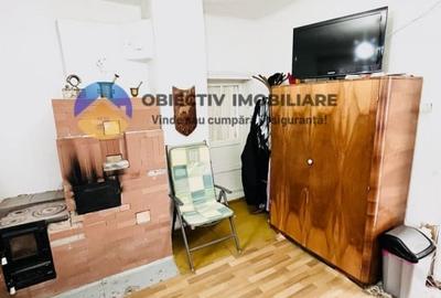 CASA traditionala PANGARATI la DN 15 cu vedere spre raul Bistrita - 7