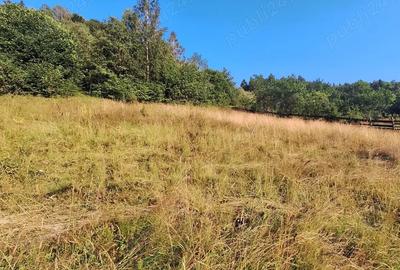 Casă cu 4 camere cu Teren 1500 Mp în Moieciu