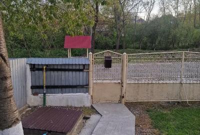 Casă cu 3 camere cu Teren 1352 Mp în Horia - 2