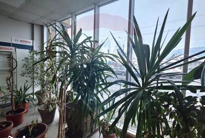 Spațiu comercial, de 120 mp, în Central - 11