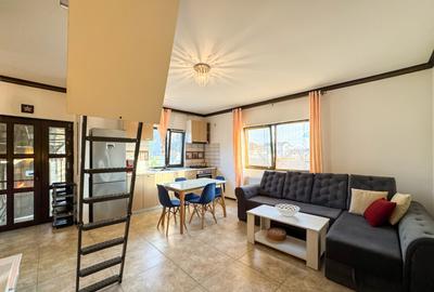 Vila duplex Pantelimon - 10