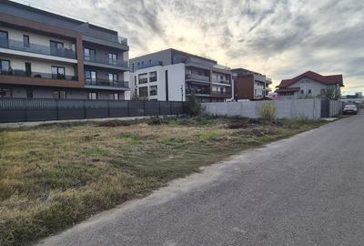 Theodor Pallady, Gura Calitei - 5