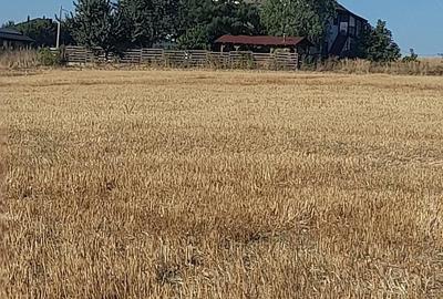Teren de 1250 mp, în Cândeasca - 2