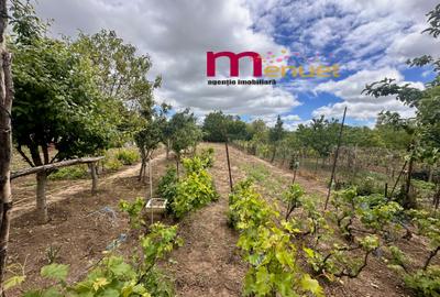 Casa +Teren 1500 mp - 1